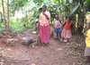 Lydia's KIVA Loan